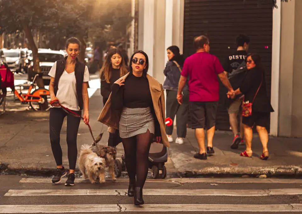 roofing contractor Alton